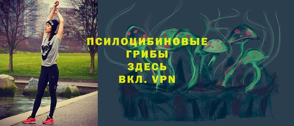 2c-b Арсеньев