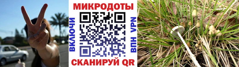 Галлюциногенные грибы мухоморы  мега ССЫЛКА  Снежногорск  купить наркотики сайты 